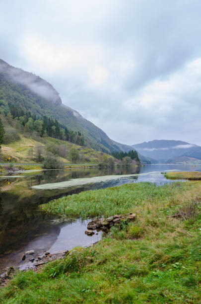 istock View of the mountain river 1181082292