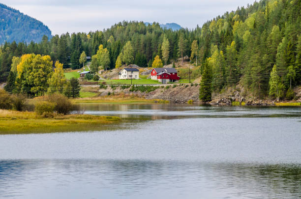 istock View of the mountain river 1181082403