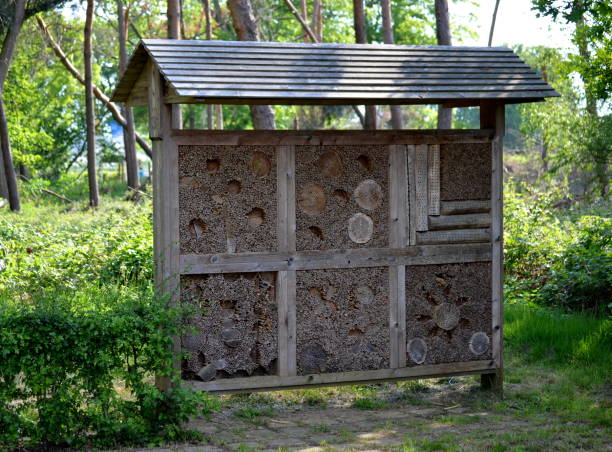 istock Insect hotel to improve environment 1181083554