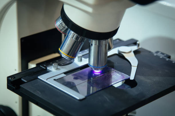 istock Scientific or medical test sample under light microscope in laboratory, close up 1181086491