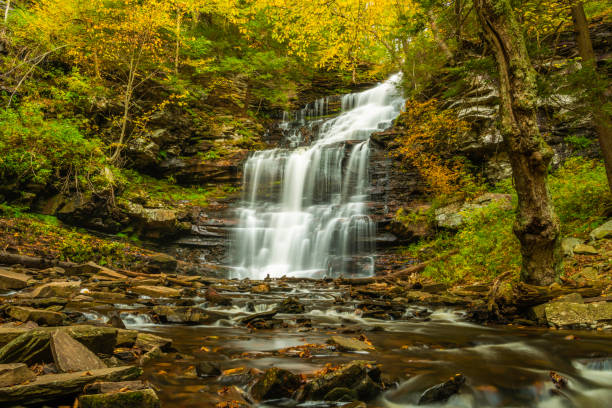 Beauty of Ricketts Glen falls in autumn stock photo