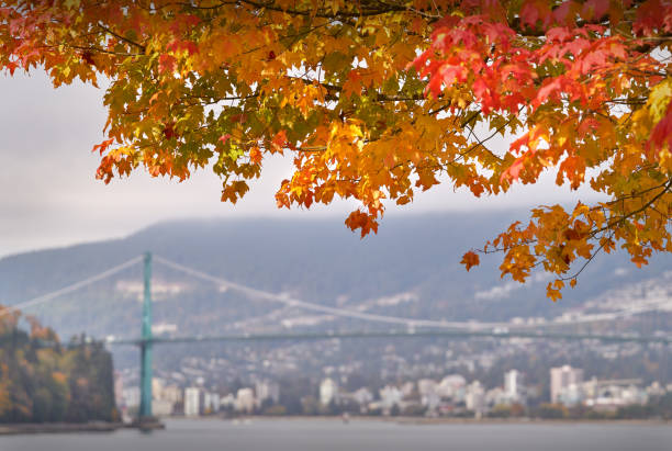 Stanley Park in autumn. Vancouver, British Columbia, Canada.