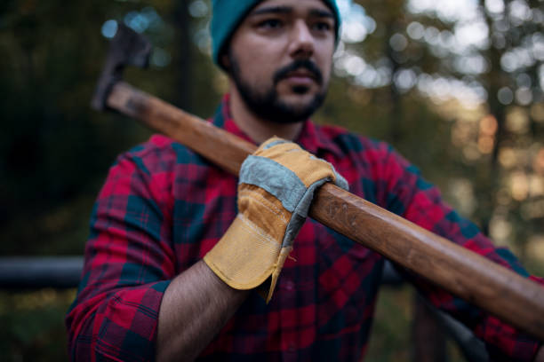 istock Lumberjack resting after work in his cabin 1181092064
