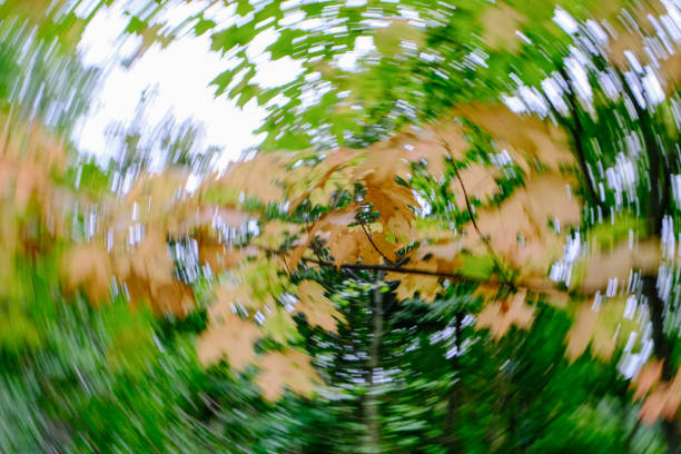 Abstract bare treetop swirl effect