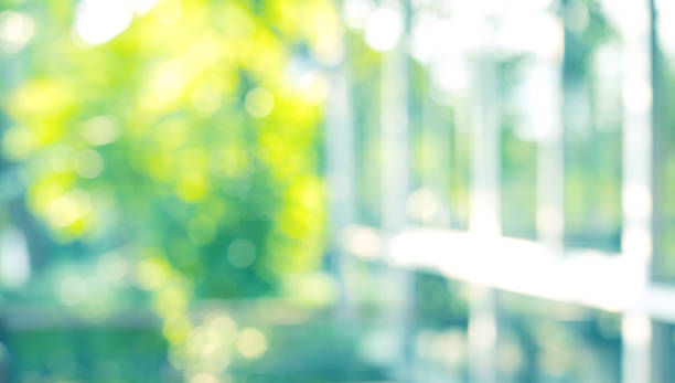 istock Blur green nature garden background 1181093633