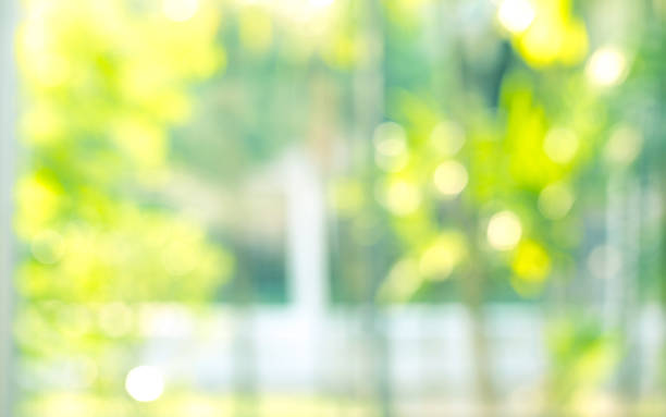 istock Blur green nature garden background 1181093659