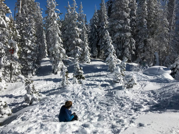 istock Sledding snow adventures with Millenials and child 1181100721