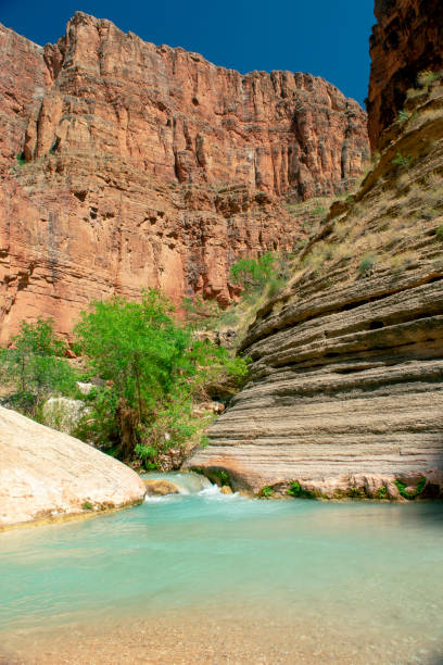 Havasu Creek shallow pool with cliffs A shallow pool in Havasu Creek inside of the Grand Canyon just above the confluence of the Colorado River (before entering the Havasupai Indian Reservation) havasu creek stock pictures, royalty-free photos & images