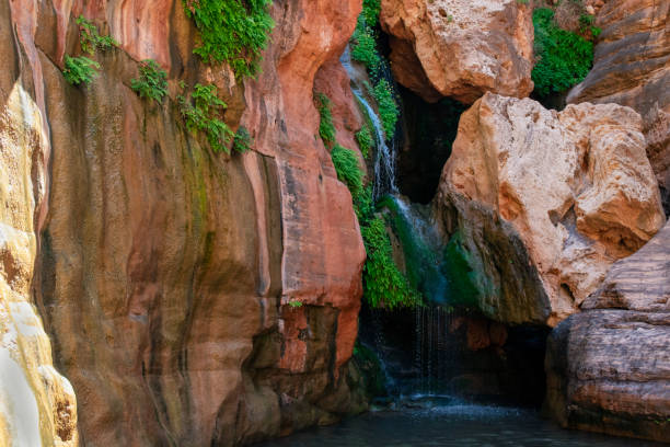 istock Elves Chasm Grand Canyon Waterfall 1181107104