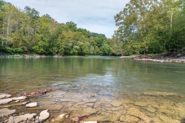 istock Landscape of an autumn brigth forest on the riverfront 1181107327