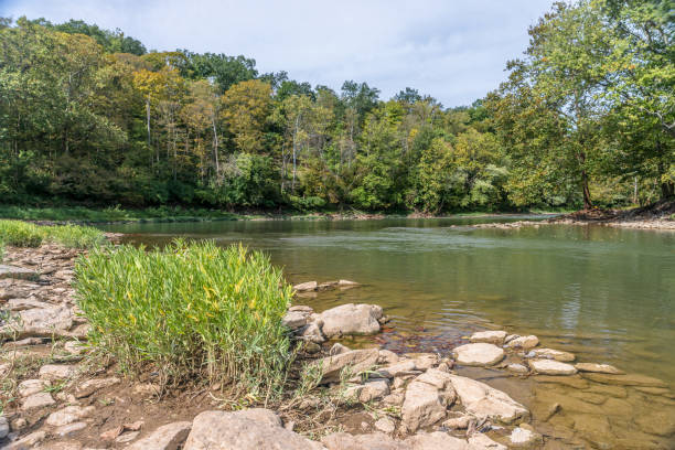 istock Landscape of an autumn brigth forest on the riverfront 1181107334