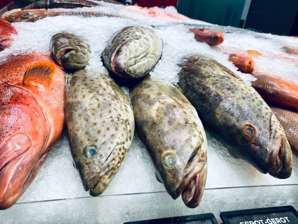 istock Fish in the Market Cover with Ice 1181108228