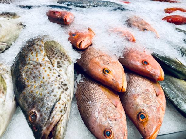 istock Fish in the Market Cover with Ice 1181108230
