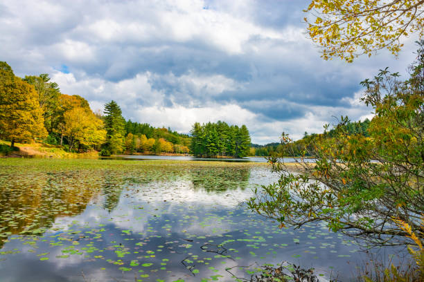 istock Beautiful autumn scenery in North Carolina. 1181113817