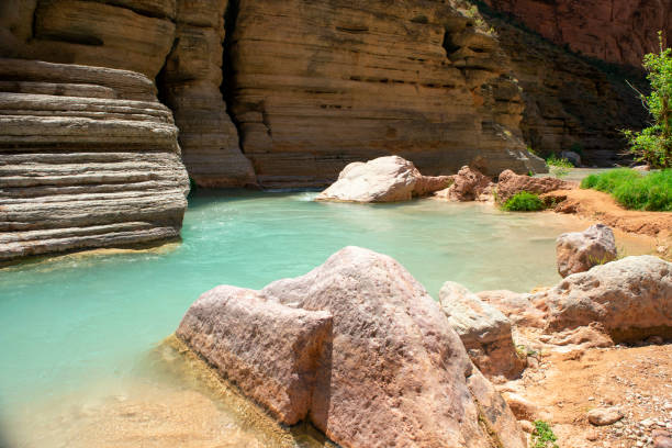 Havasu Creek pool with ledges A pool in Havasu Creek near the Colorado River confluence (before entering the Havasupai Indian Reservation) that showcases the layers and deposits, including sandstone, limestone, and travertine havasu creek stock pictures, royalty-free photos & images