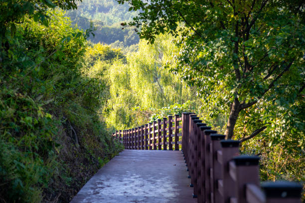 istock Lakeside promenade 1181115782
