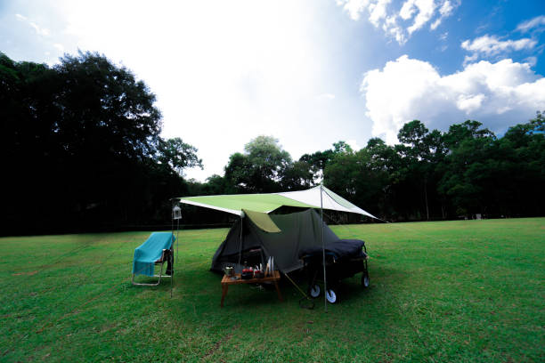 istock Camping and tent on green grass at the forest on mountain 1181116008