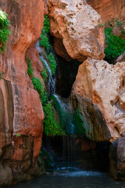 istock Elves Chasm Grand Canyon Waterfall vertical 1181116044