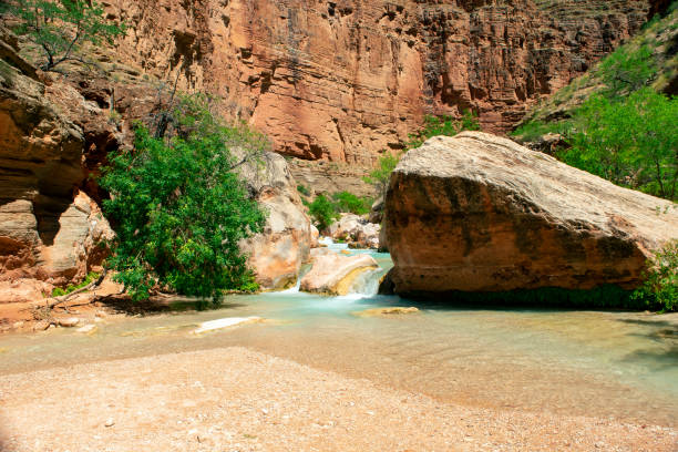 Havasu Creek mini fall and rocky beach Havasu Creek inside of the Grand Canyon, near the Colorado river confluence (before entering the Havasupai Indian Reservation), showing an area with a very small waterfall and shallow riverbed havasu creek stock pictures, royalty-free photos & images