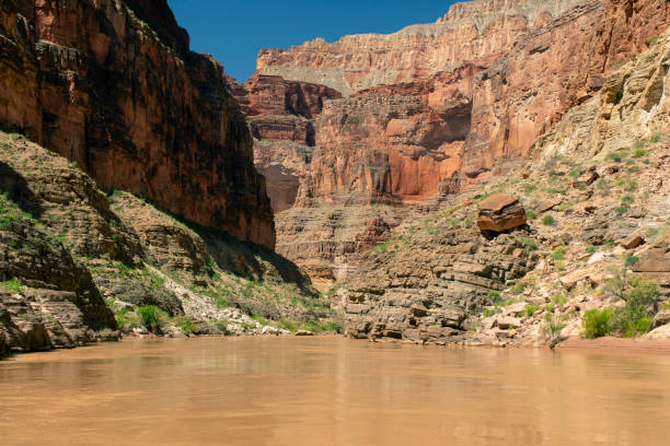 istock Colorado River boulder in Grand Canyon 1181120515