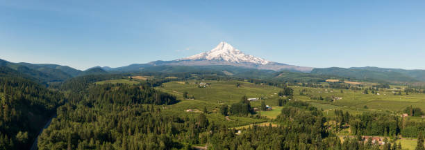 istock American Landscape in Oregon 1181122035