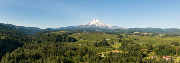 istock American Landscape in Oregon 1181122047