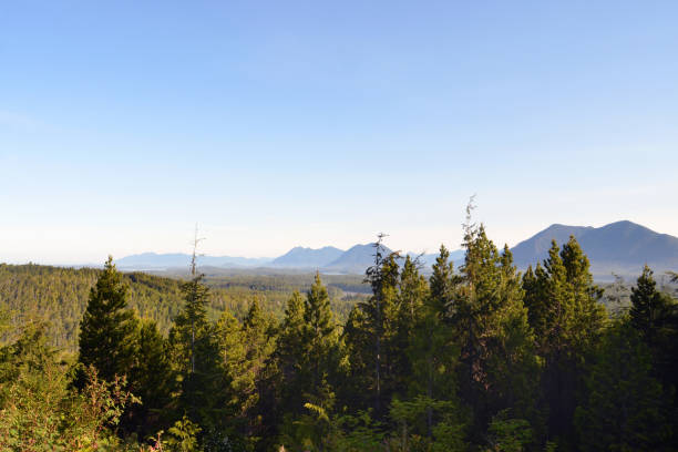 istock Vancouver Island Nature 1181124697