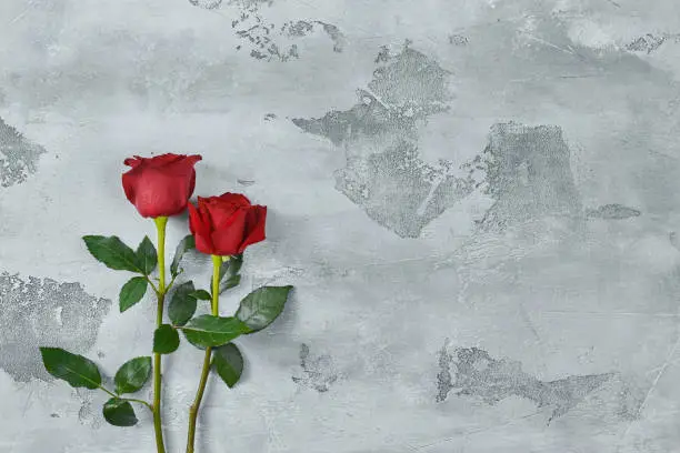 Photo of Red roses lie on a textured light background. Space for your text