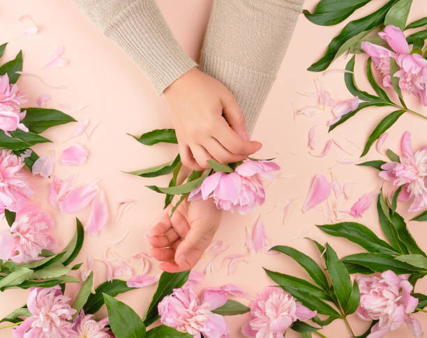 istock two female hands and pink blooming peonies on a beige background 1181130652
