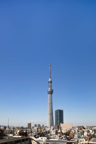istock Tokyo Sky Tree and residential area 1181131489