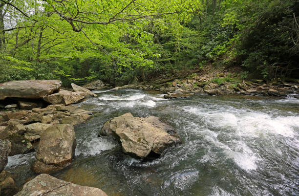 istock On the Glade Creek 1181131547