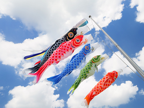 Japanese carp streamer