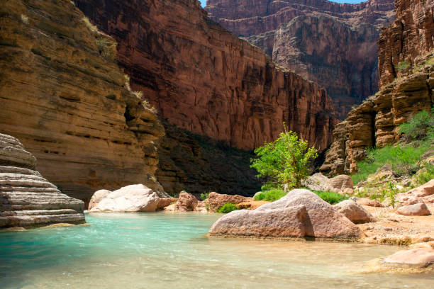 Havasu Creek grand overview horizontal Havasu Creek as seen from near the Colorado River Confluence in the Grand Canyon havasu creek stock pictures, royalty-free photos & images