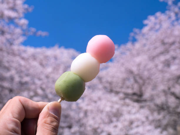 istock Cherry blossoms and dumplings in full bloom 1181132958