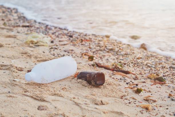 istock Waste plastic bottles and other types of plastic waste on beach. 1181135173