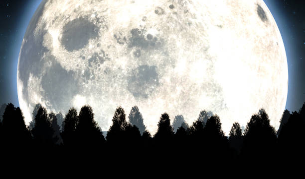 istock Full Moon Above The Tree Tops 1181136234