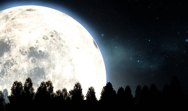 istock Full Moon Above The Tree Tops 1181136394
