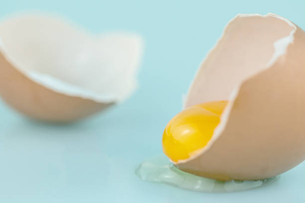 istock Closeup fresh egg and egg yolk on the soft blue color background. 1181137577