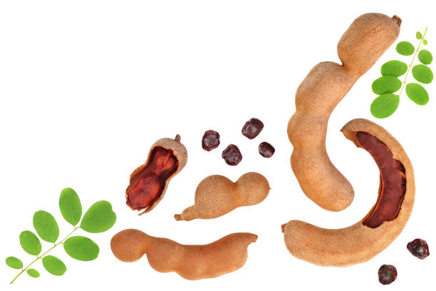 istock Tamarind fruit with leaf and seed isolated on white background with copy space for your text. Top view. Flat lay 1181139185