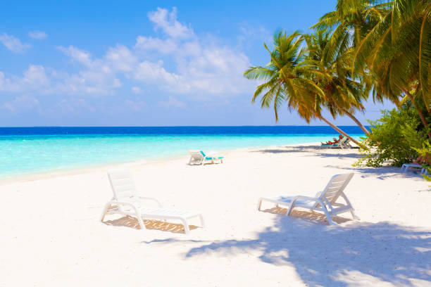 istock Tropical white sand beach with palms and sea 1181139539