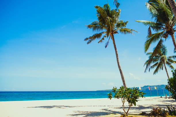istock Tropical white sand beach with palms and sea 1181139588