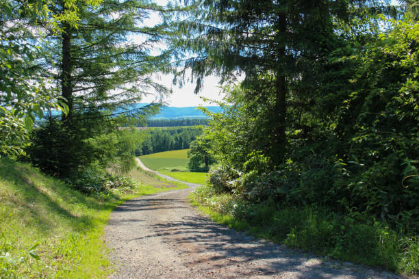 istock Rural gravel road 1181139602