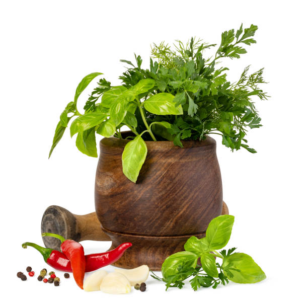 istock Fresh spices and herbs in mortar 1181140539
