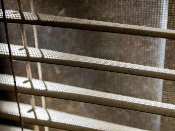 istock Blurred dust blinds inside a window, Blurred dust and Dirty mosquito wire screen window, Light & Shadow shot, Close up and macro shot, Selective focus 1181141230