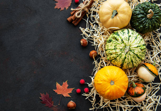 istock Pumpkins on a black background 1181142077
