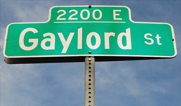 istock Gaylord Street 118114237