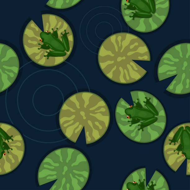 池のユリパッド上のカエルのシームレスな質感。ベクトルイラスト。 - seamless padding backgrounds wallpaper点のイラスト素材／クリップアート素材／マンガ素材／アイコン素材
