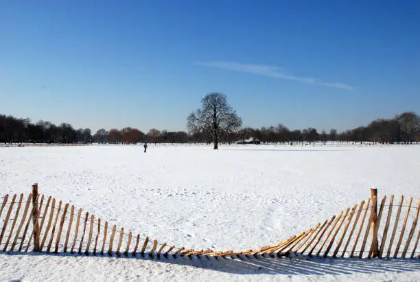 Frosty snow scene in Clapham Common. London with bright blue sky and lone tree in the centre. This is the site of the WinterVille Christmas fair each year