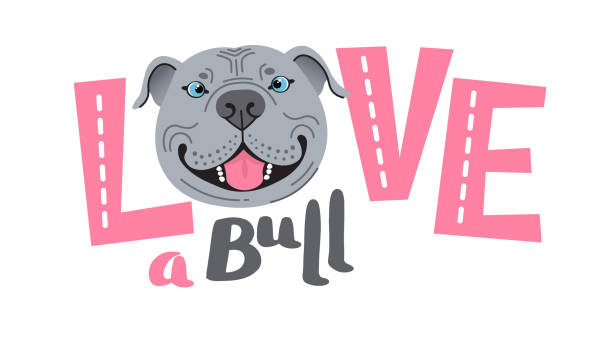 The inscription on the t-shirt of the owner of the dog Pitbull. Word LOVE with a American Staffordshire Pit Bull Terrier face. Vector illustration The inscription on the t-shirt of the owner of the dog Pitbull. Word LOVE with a American Staffordshire Pit Bull Terrier face. Vector illustration. pitbull graphic stock illustrations