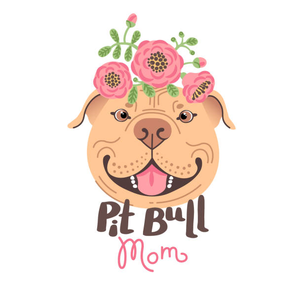 Pit Bull Mom. Image of happy mother dog. American Staffordshire Pitbull Terrier face. Vector illustration Pit Bull Mom. Image of happy mother dog. American Staffordshire Pitbull Terrier face. Vector illustration. pitbull graphic stock illustrations